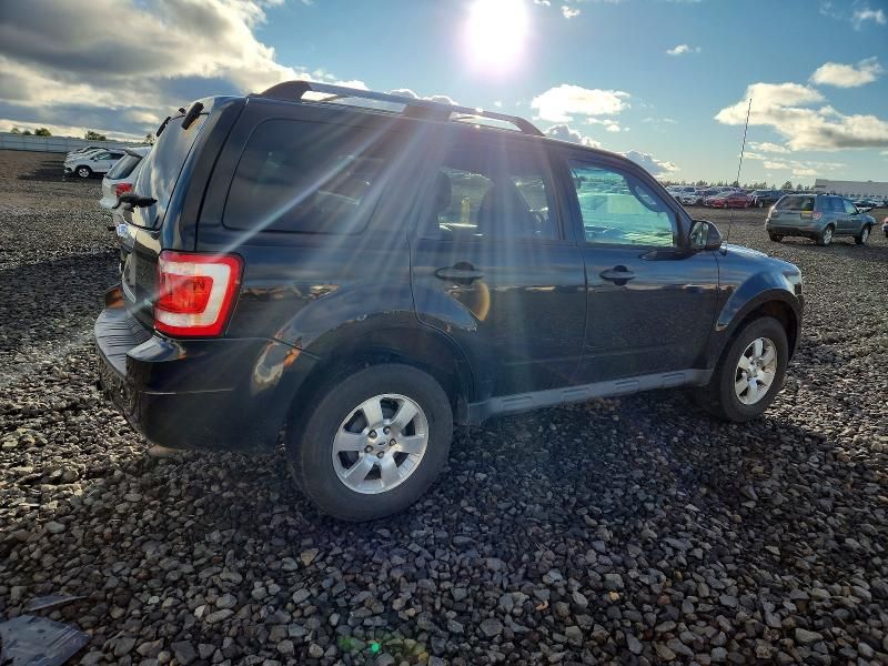 2011 Ford Escape Limited