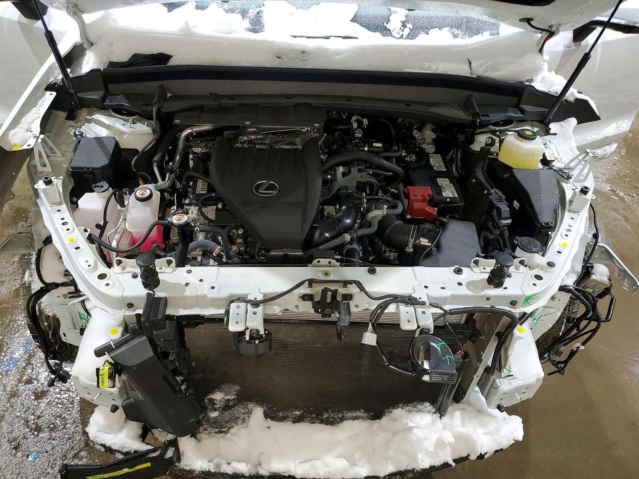 2025 Lexus Tx 350 Base