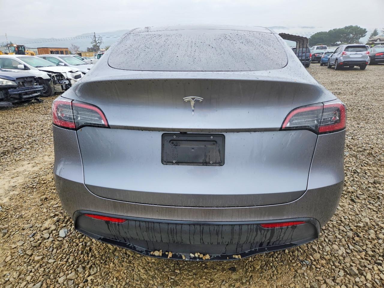 2025 Tesla Model y