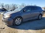 2014 Honda Odyssey exl