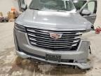 2024 Cadillac Escalade esv Premium Luxury Platinum