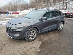2020 Ford Escape se en venta en Marlboro, NY