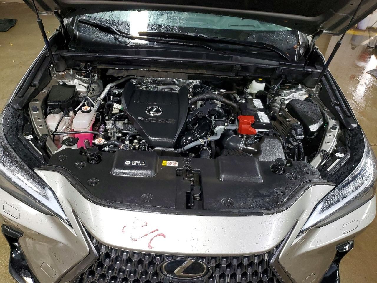 2024 Lexus Nx 350 Luxury