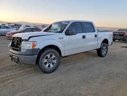 Ford F-150 salvage cars for sale: 2014 Ford F150 Supercrew