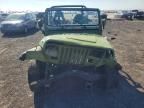 1993 Jeep Wrangler / yj Sahara
