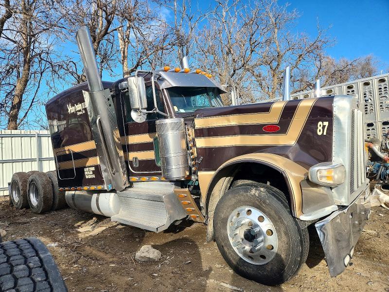 2019 Peterbilt 389