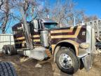 2019 Peterbilt 389