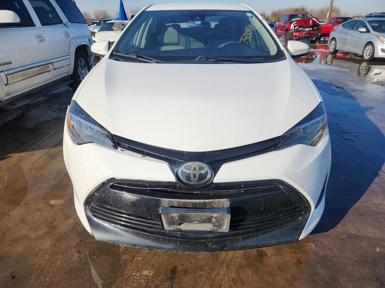 2019 Toyota Corolla l