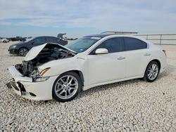 2010 Niss Maxima for sale in Taylor, TX