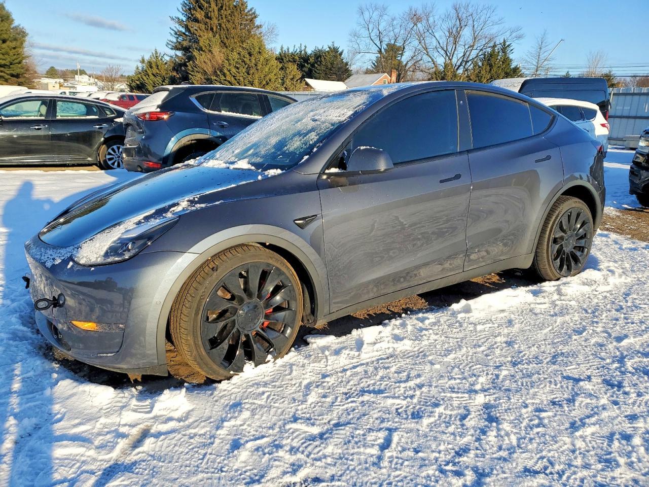 2022 Tesla Model y