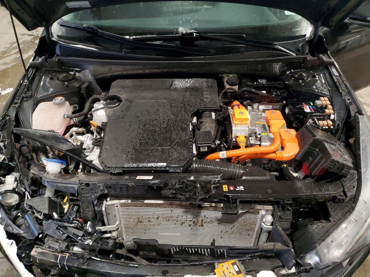 2023 Hyundai Elantra Blue