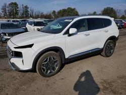Hyundai salvage cars for sale: 2023 Hyundai Santa fe Hybrid sel Premium