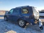 2008 Ford Expedition xlt