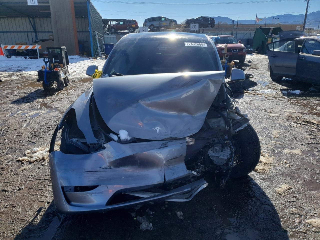 2025 Tesla Model y
