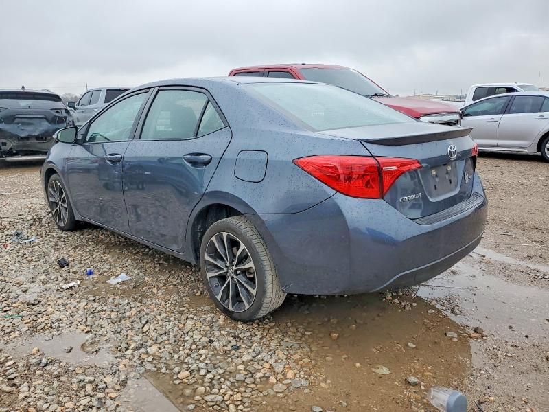 2019 Toyota Corolla l