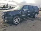 2011 Cadillac Escalade esv Platinum