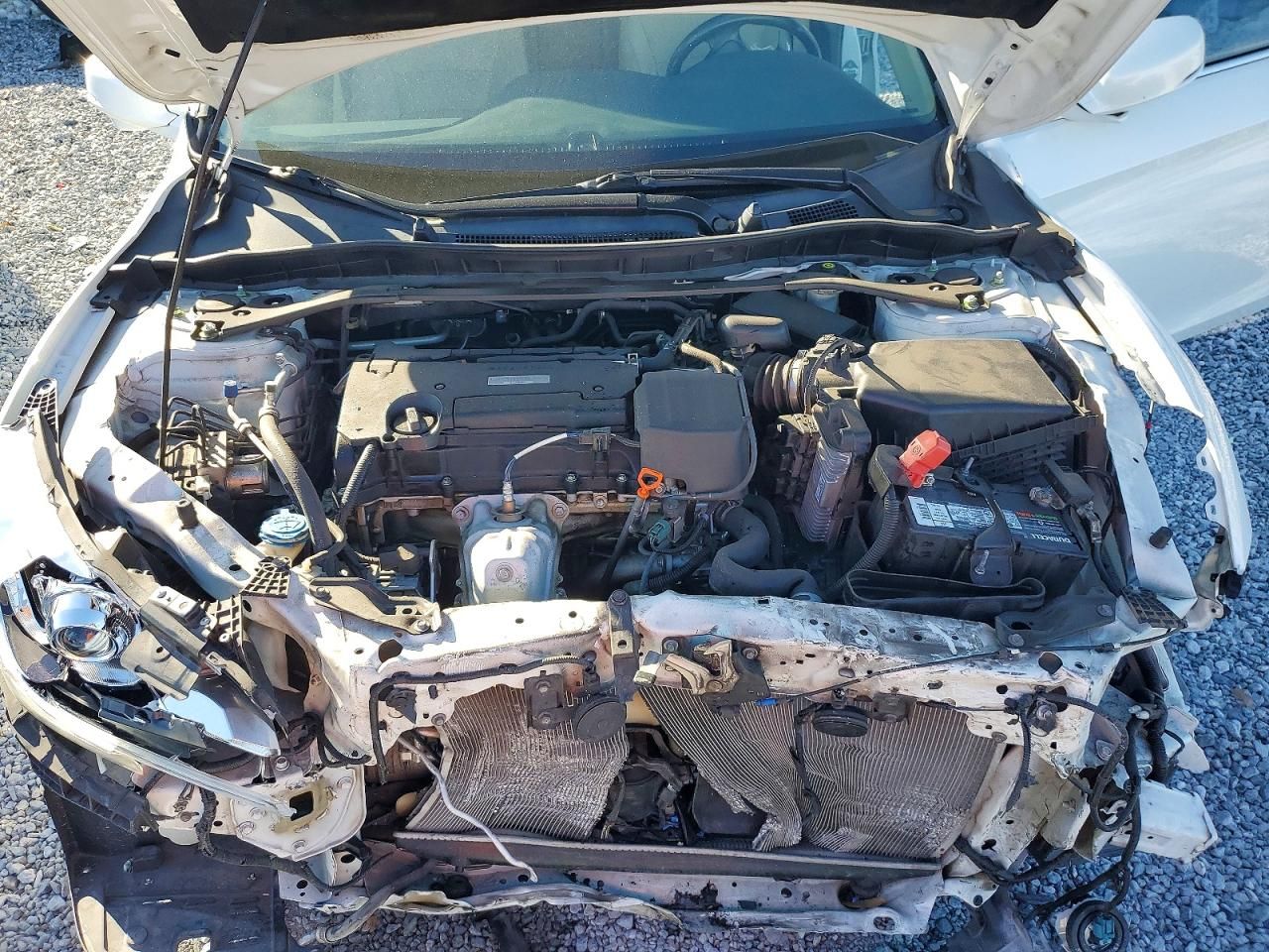 2017 Honda Accord exl