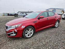 KIA Optima Vehiculos salvage en venta: 2012 KIA Optima lx