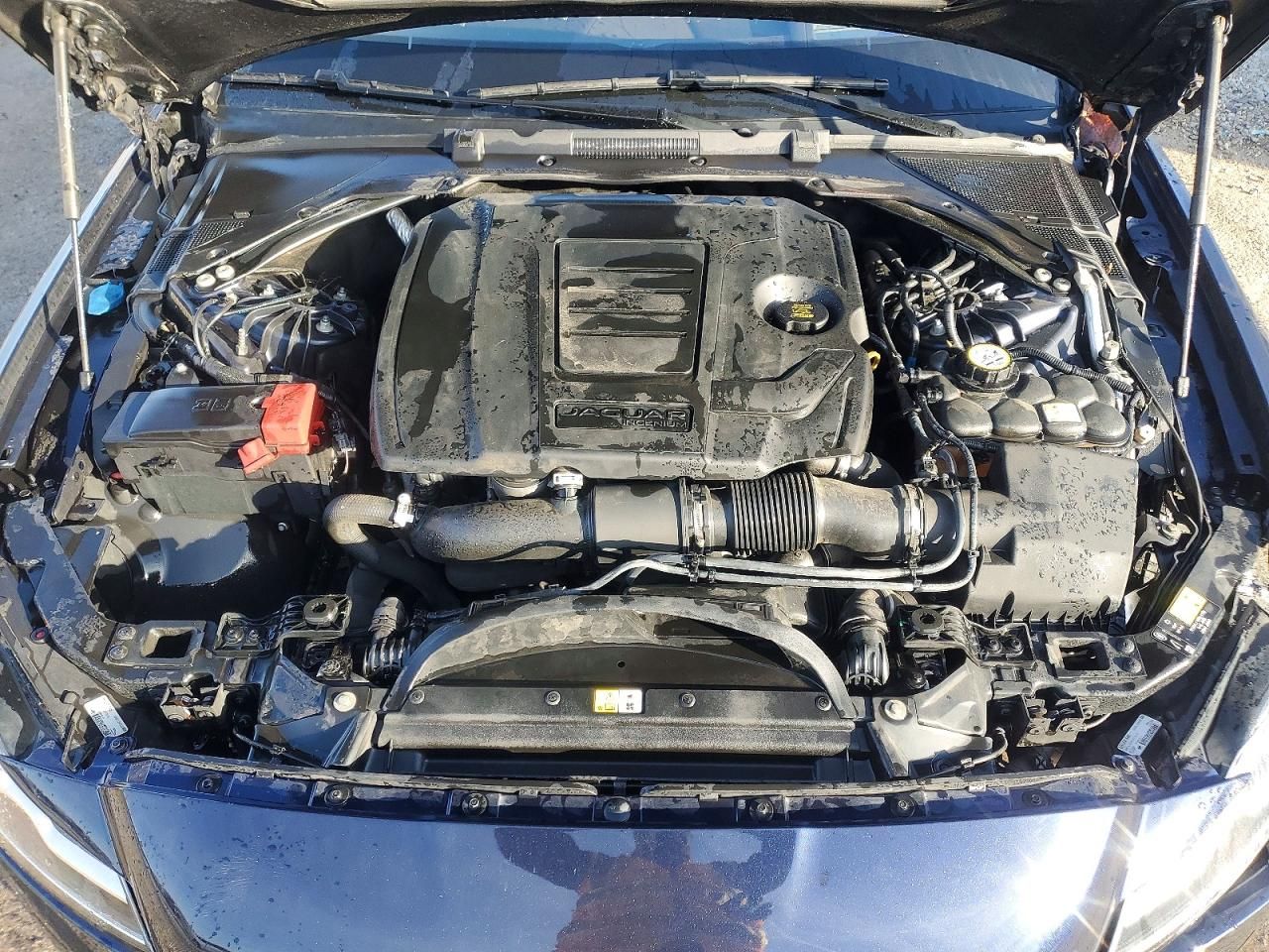 2019 Jaguar Xf Portfolio