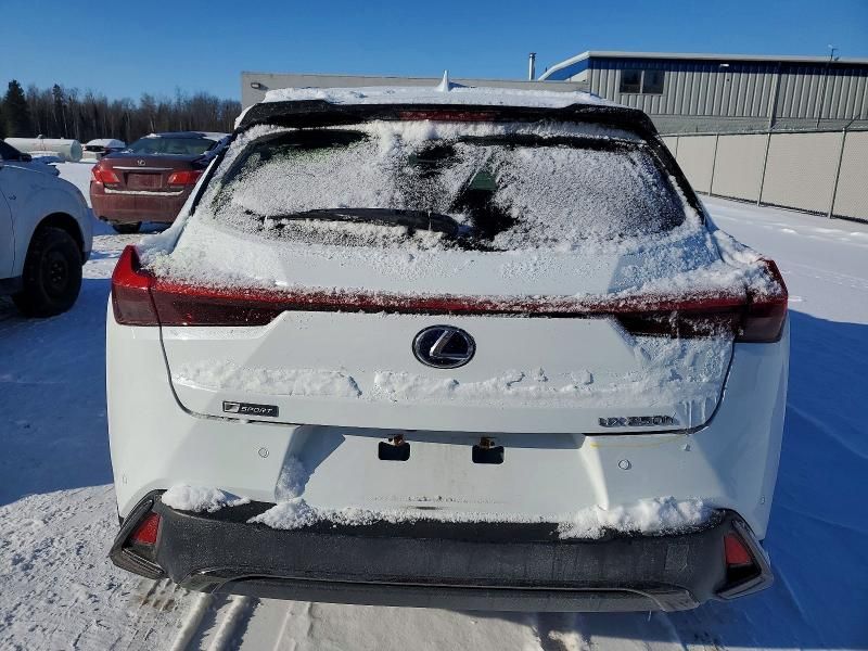 2021 Lexus Ux 250h