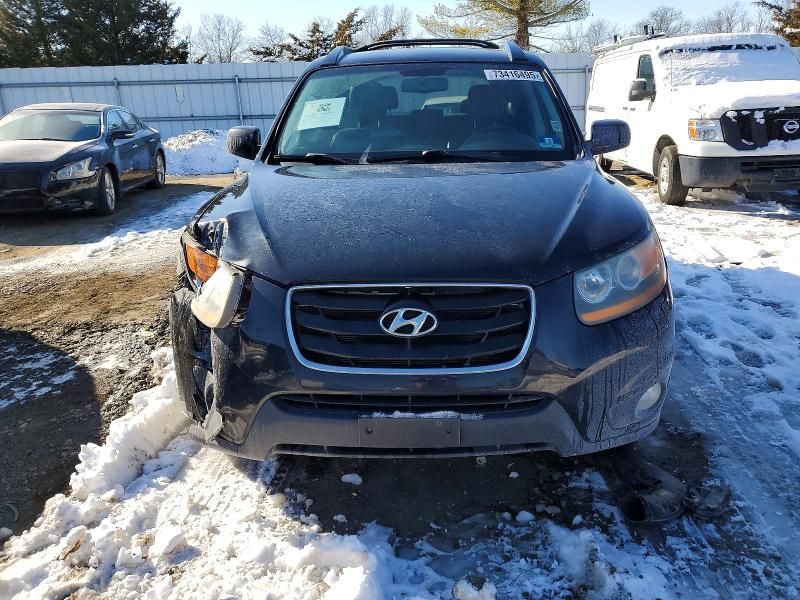 2010 Hyundai Santa fe se