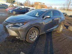Lexus NX salvage cars for sale: 2020 Lexus Nx 300 fwd
