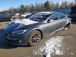 2019 Tesla Model s for sale in Brookhaven, NY