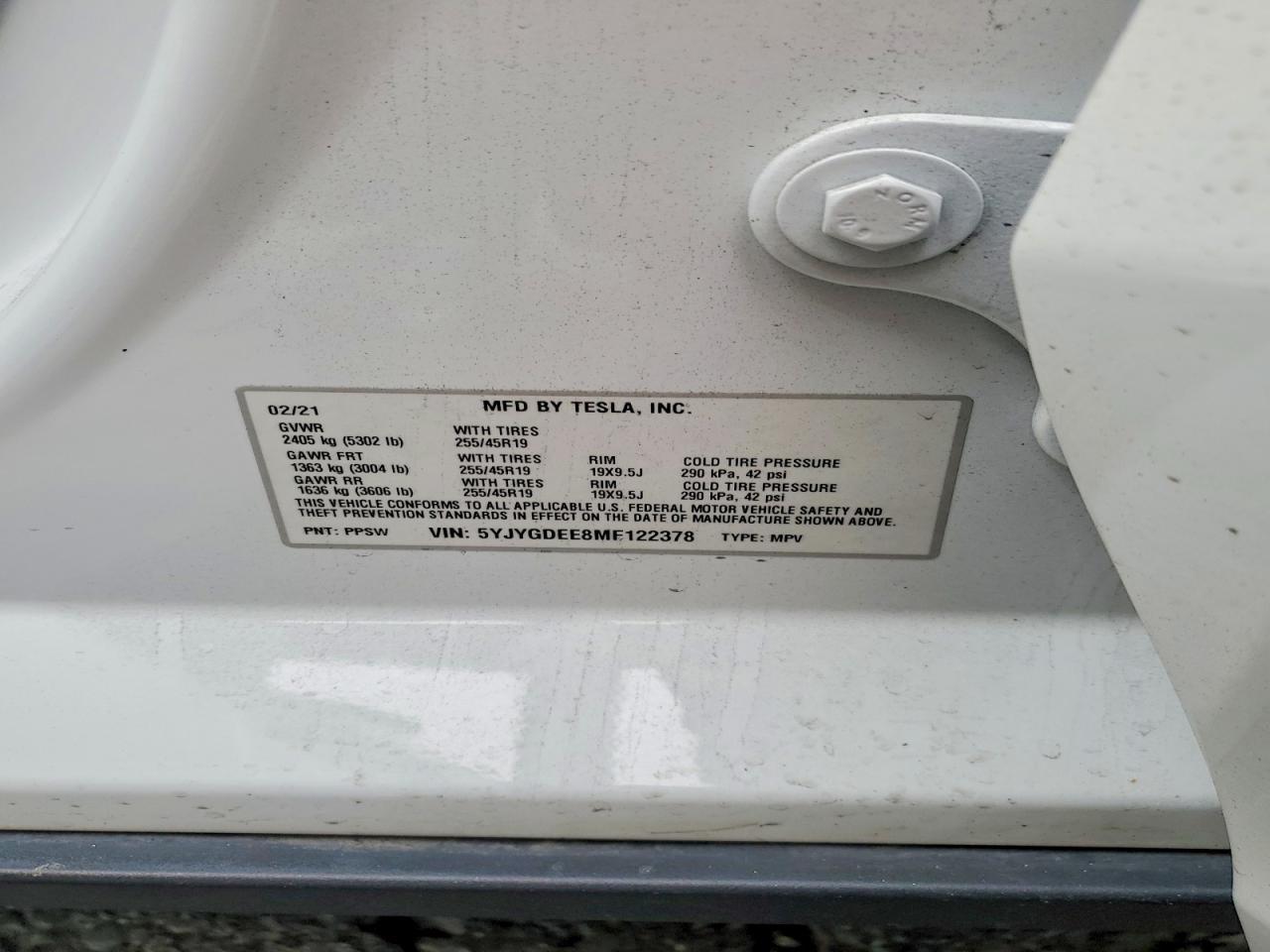2021 Tesla Model y