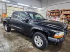2003 Dodge Dakota Quad Sport