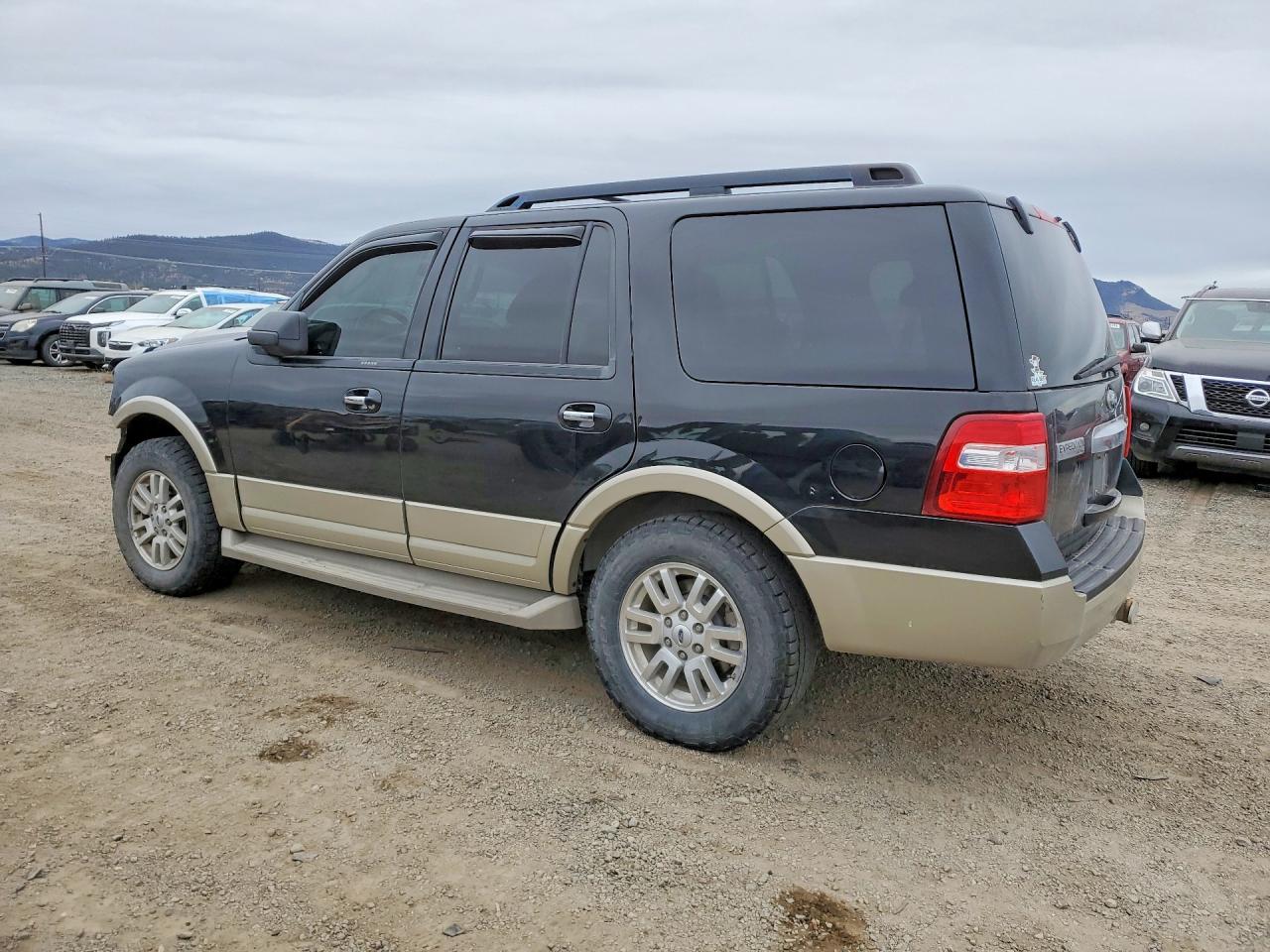 2010 Ford Expedition Eddie Bauer