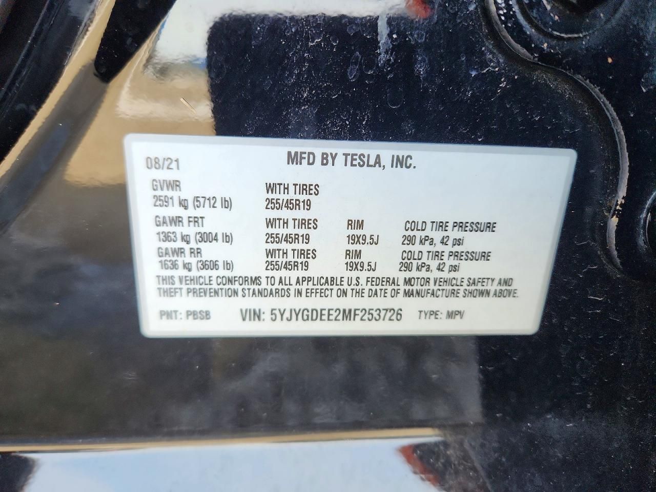 2021 Tesla Model y