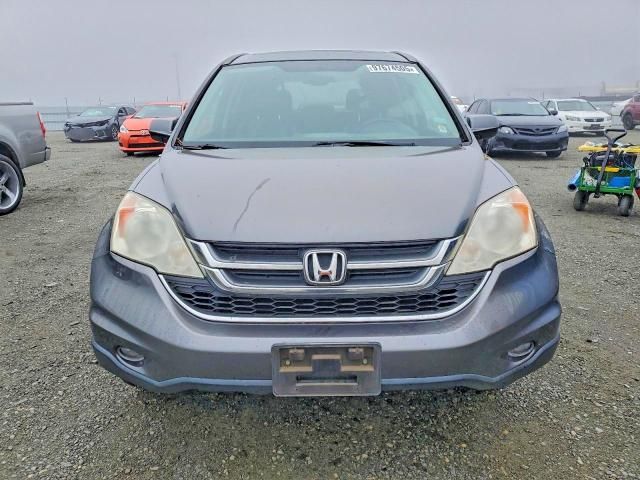 2010 Honda Cr-v exl