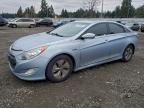 2013 Hyundai Sonata Hybrid