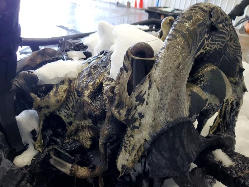 2024 Honda Pioneer Utility Vehicle