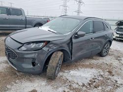 2020 Ford Escape sel for sale in Elgin, IL