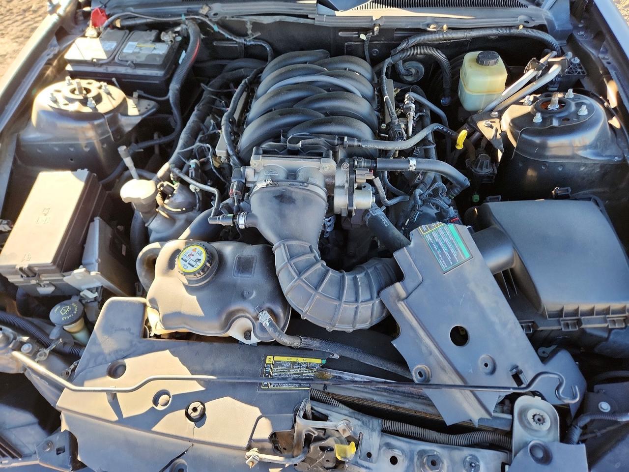 2005 Ford Mustang gt