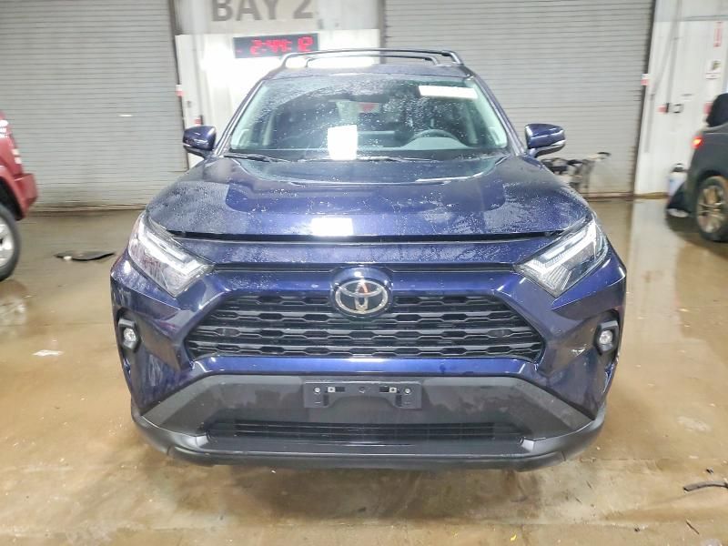 2025 Toyota Rav4 xle Premium