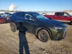 2026 Lexus Nx 350 Base