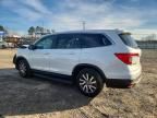 2021 Honda Pilot exl
