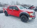 2009 Ford F150 Supercrew