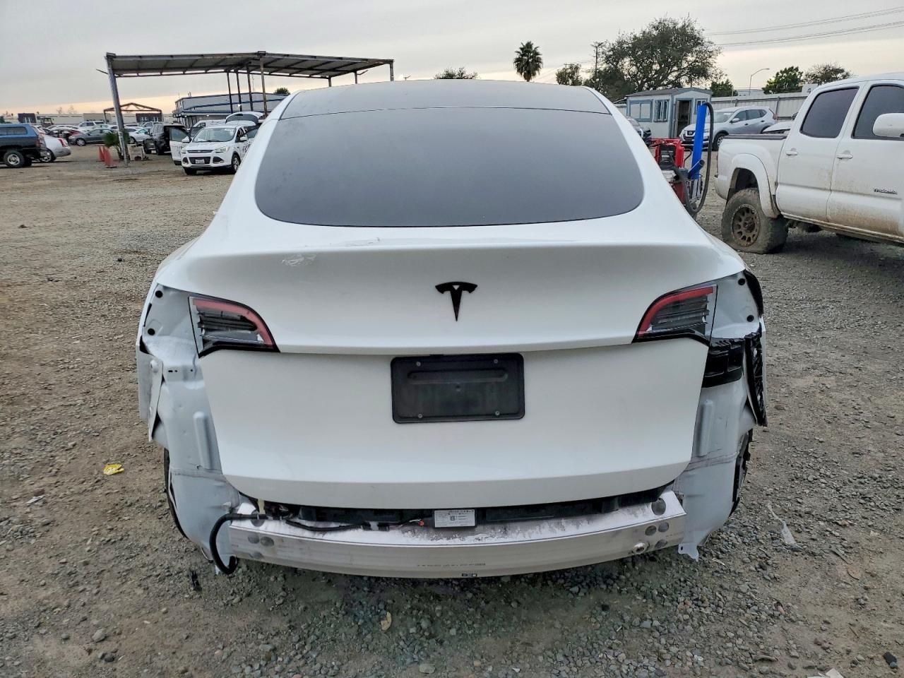 2025 Tesla Model y