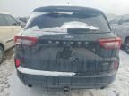 2023 Ford Escape st Line Elite