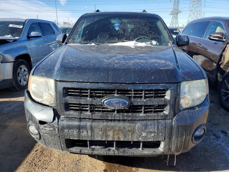 2008 Ford Escape Limited