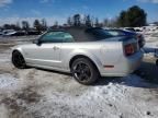 2006 Ford Mustang gt