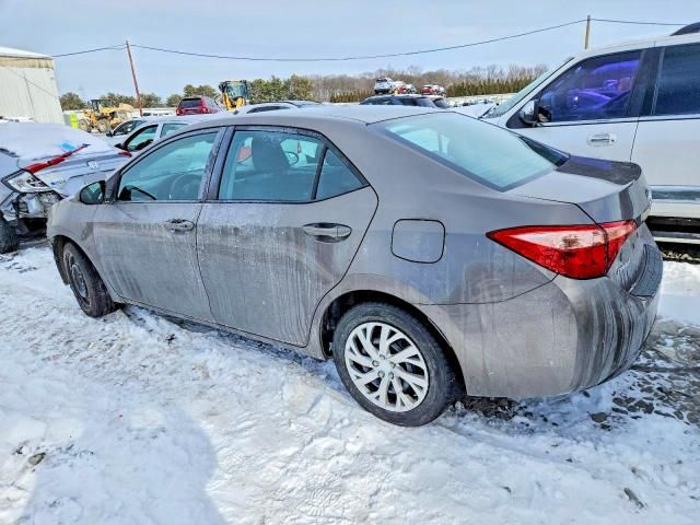 2019 Toyota Corolla l