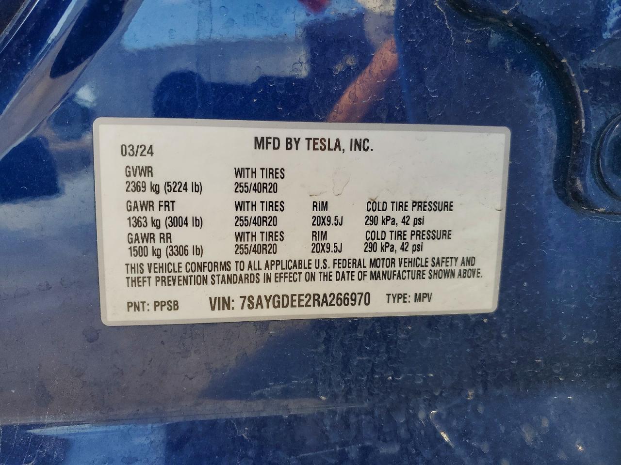 2024 Tesla Model y