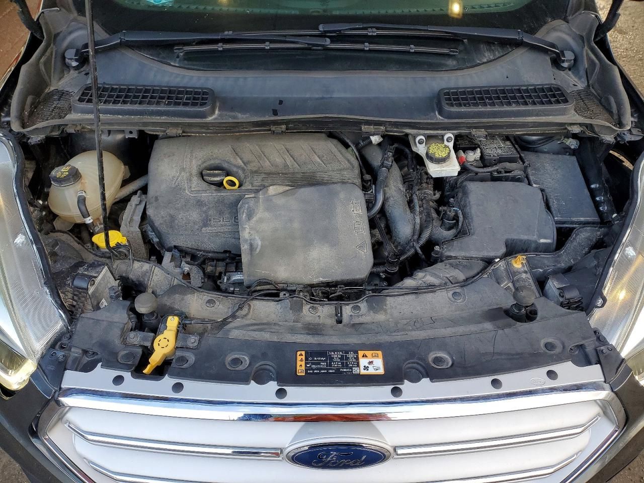 2018 Ford Escape sel