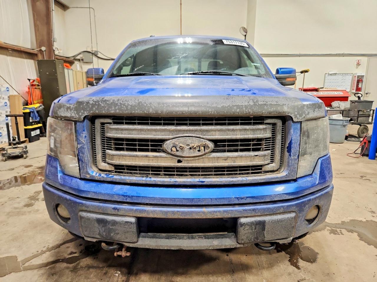 2013 Ford Truck/van F150 FX4 Supercrew 4