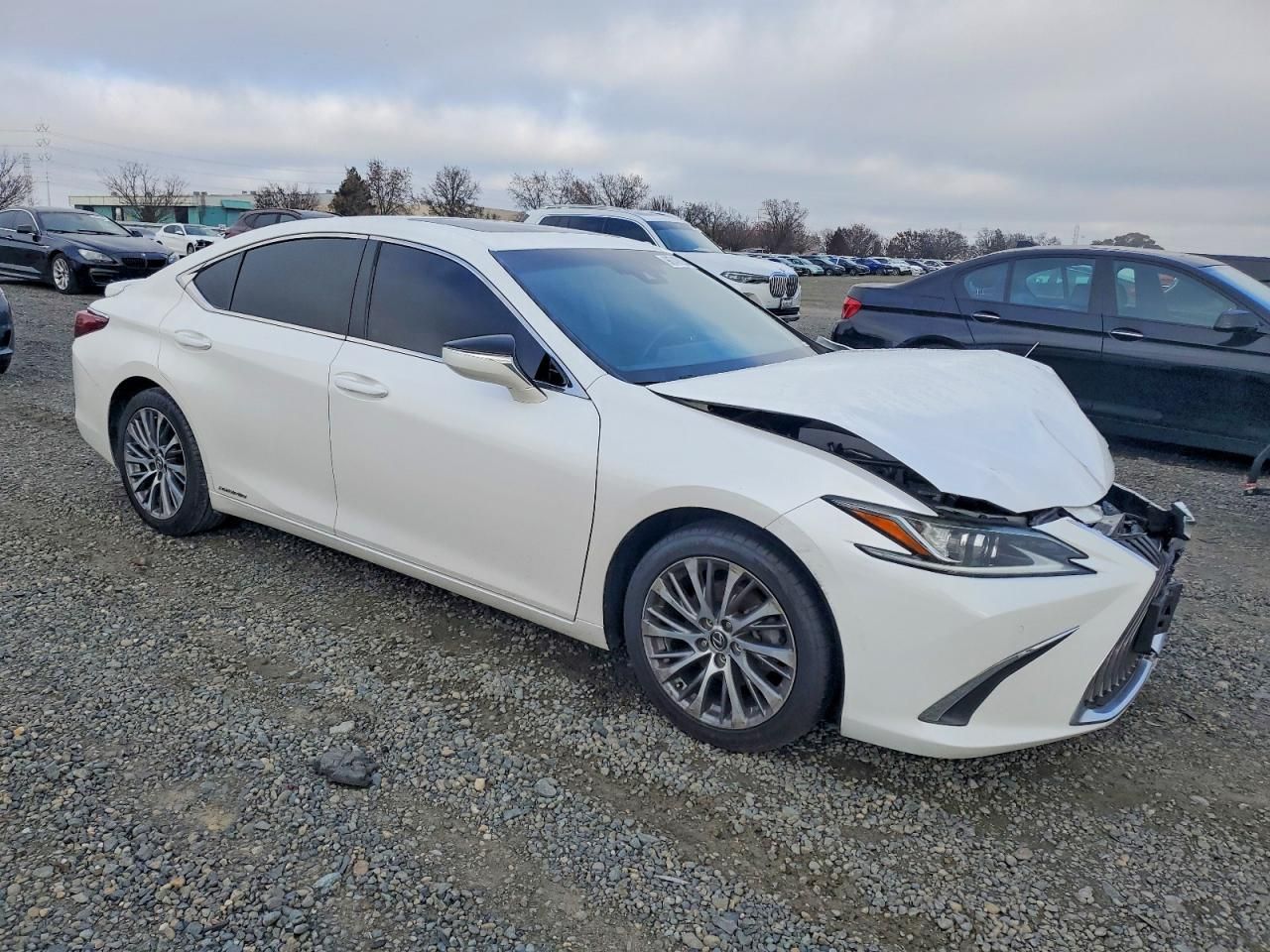 2019 Lexus Es 300h
