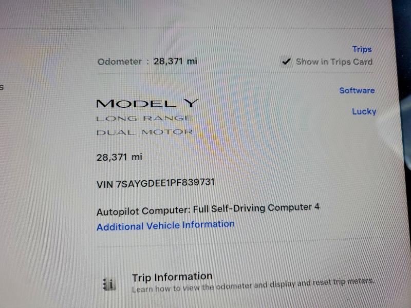 2023 Tesla Model y